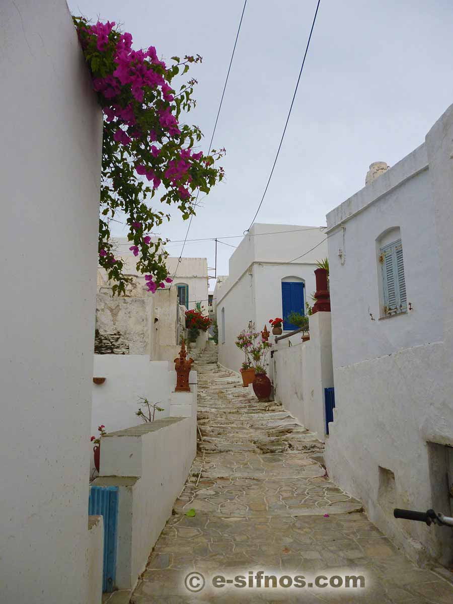 Paved alley in Artemonas
