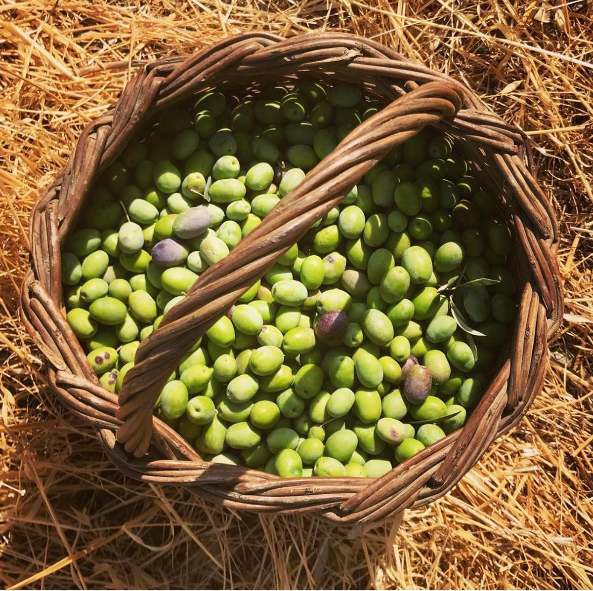 Traditional products of Sifnos, To Stavri